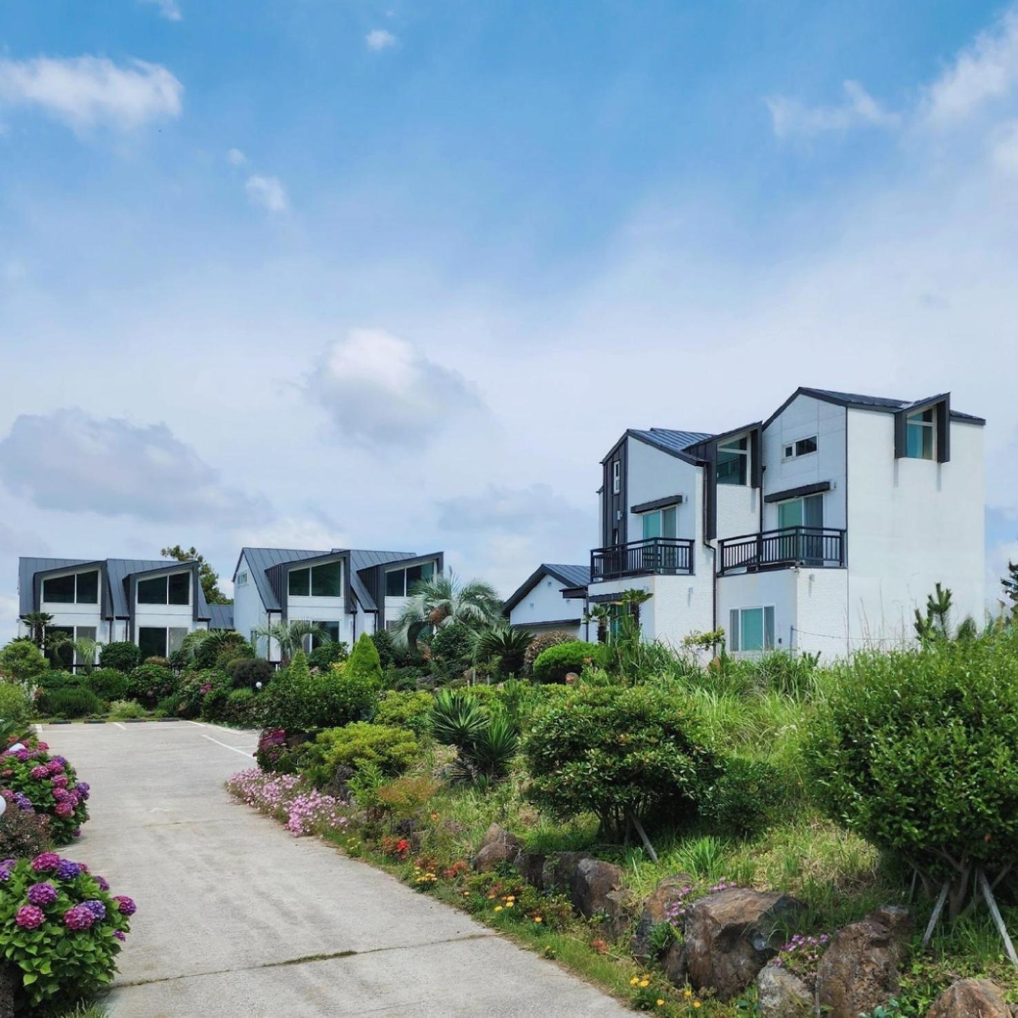 Jeju 542 Pension 西归浦市 外观 照片