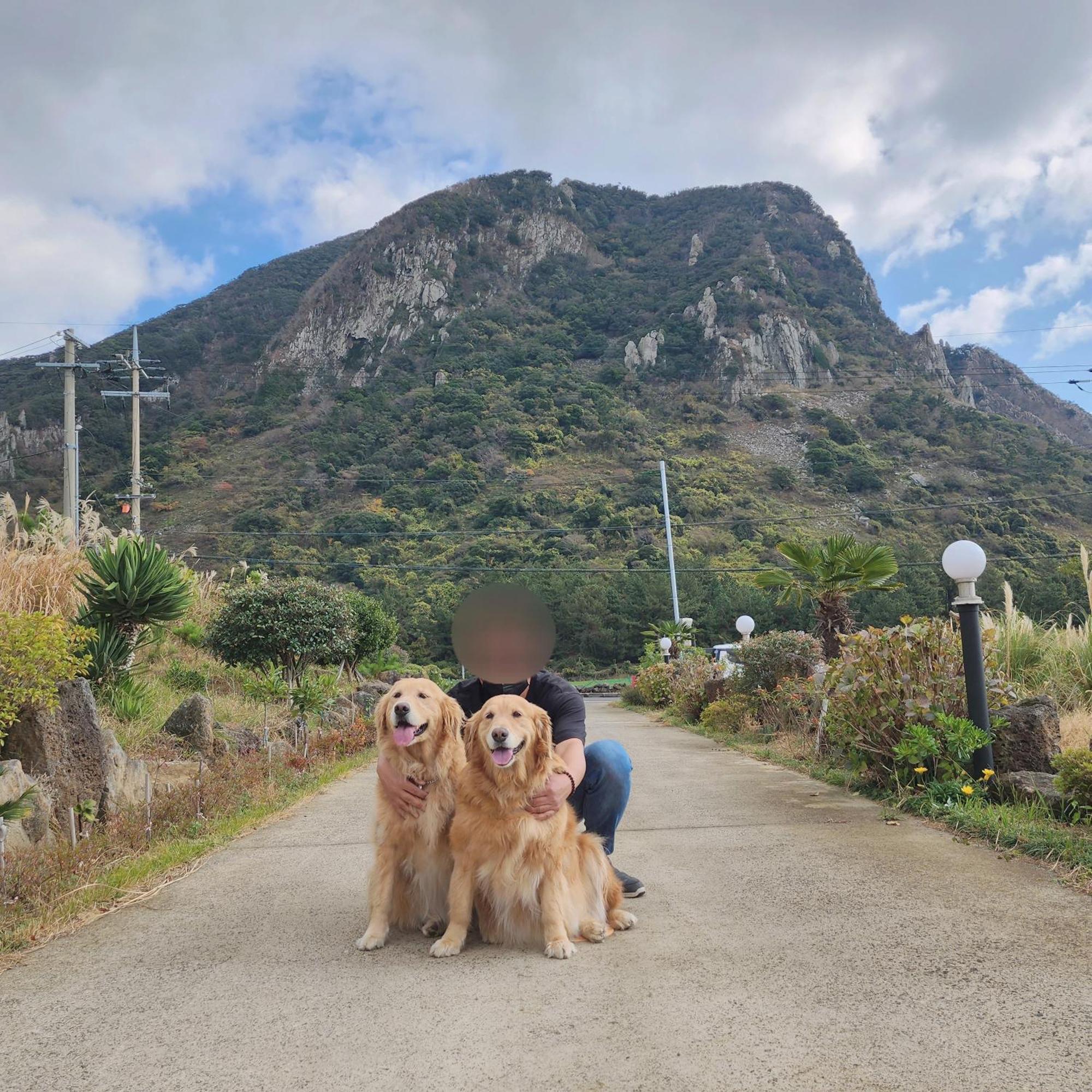 Jeju 542 Pension 西归浦市 外观 照片